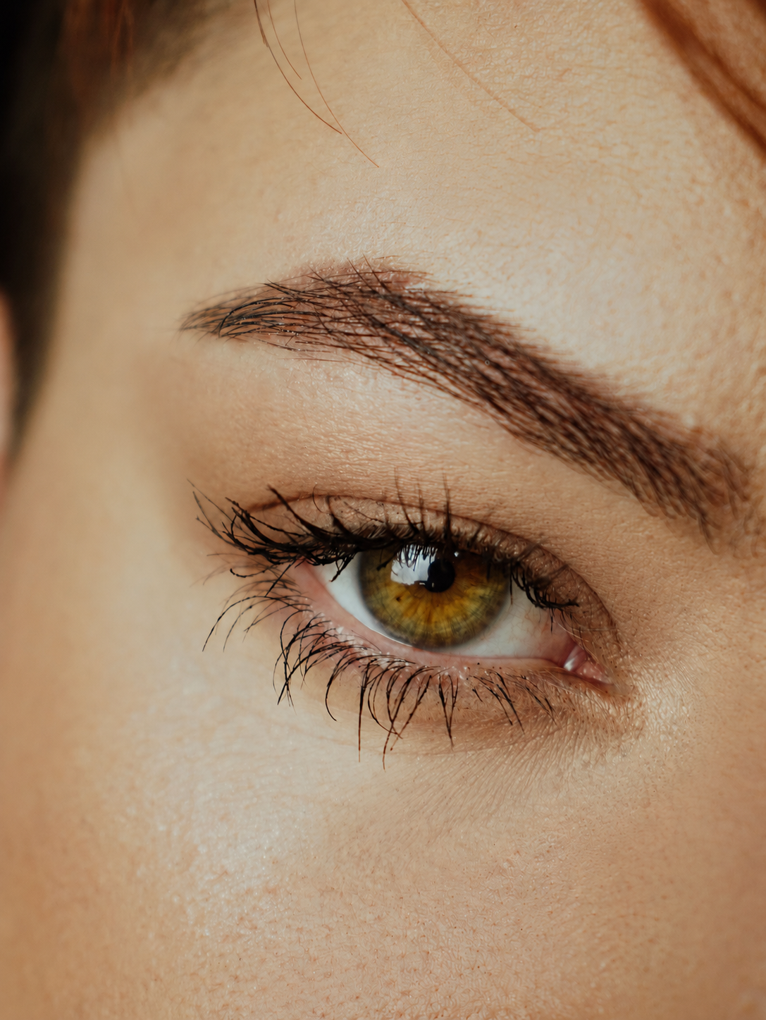 Close-up of a natural eyebrow, with eyeshadow removed